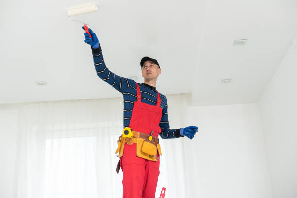 Reliable Laurel Hill, NC Dry wall and painting Solutions